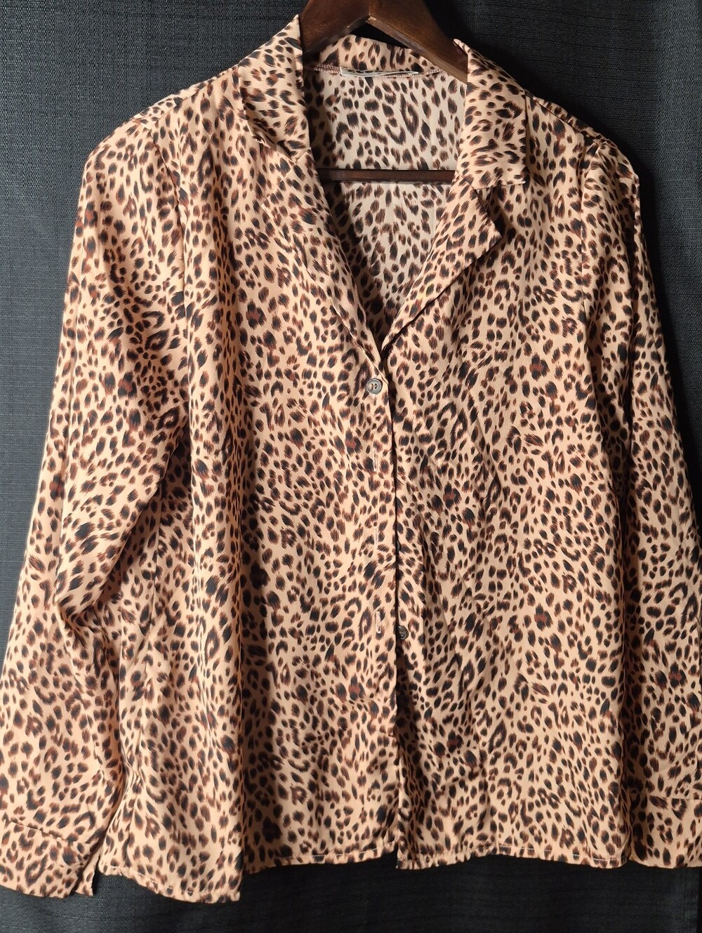 Wish Leopard Print Button-Down Shirt in Brown and Black